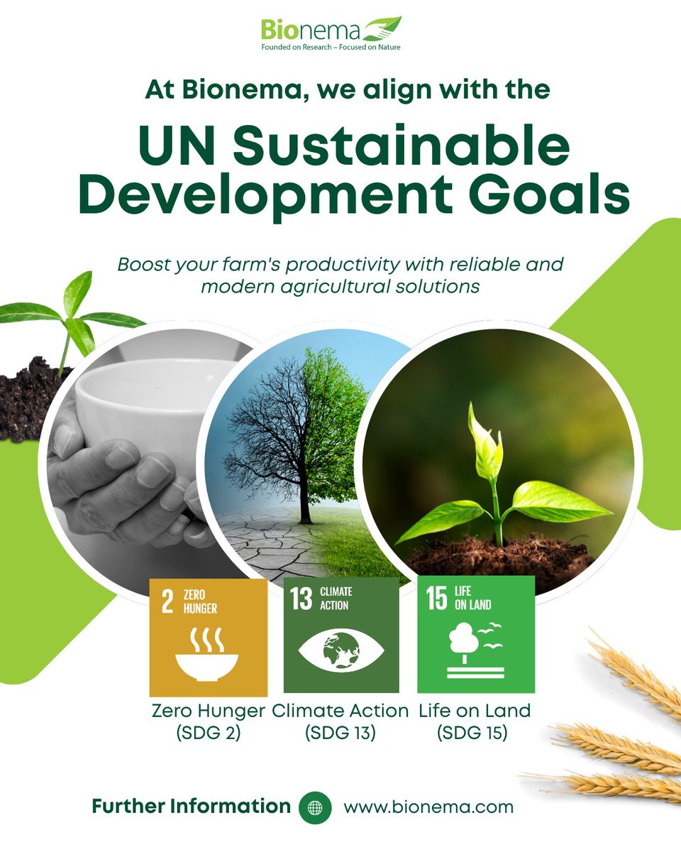 At Bionema, sustainability isn’t just a buzzword—it’s our mission.
We proudly align our work with the United Nations Sustainable Development Goals, because the future of farming is rooted in responsibility. 💚

🥗 Zero Hunger (SDG 2) – Empowering farmers to grow more with less.