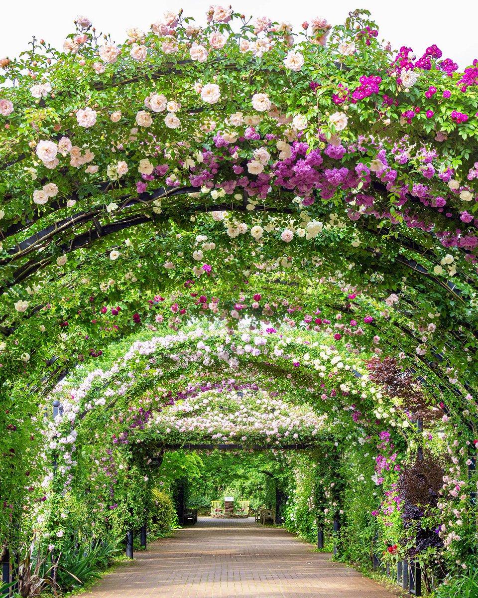 横浜イングリッシュガーデン on X