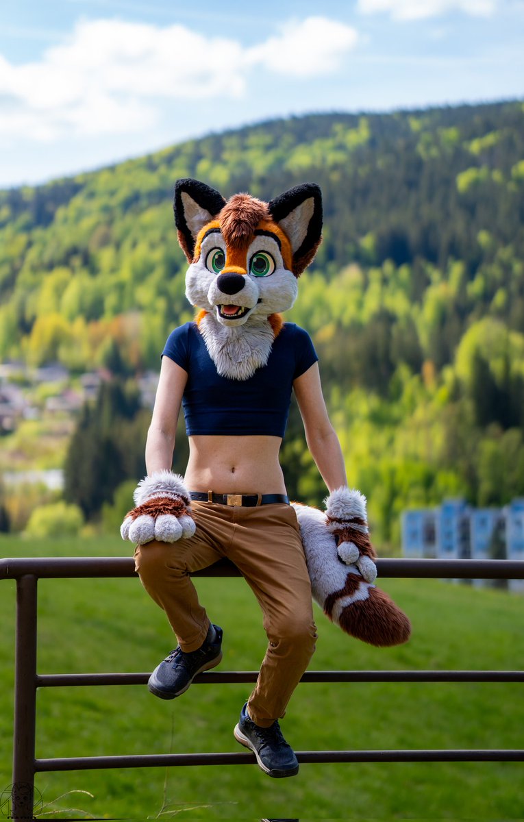 outdoor creature
📷: <a href="/RapidtheHusky/">Rapid</a>