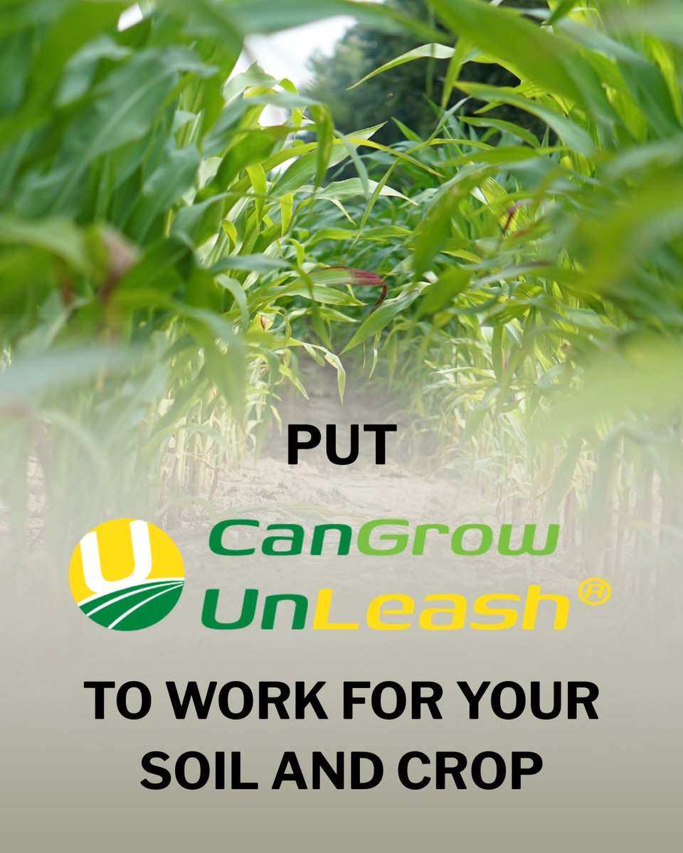 Introducing CanGrow UnLeash, powered by Environoc, a microbial biostimulant and microbial residue digestion technology all-in-one. This complete and concentrated microbial team is paired with BioLiNE Gold fulvic acid for extra stress support and nutrient use efficiency. CanGrow