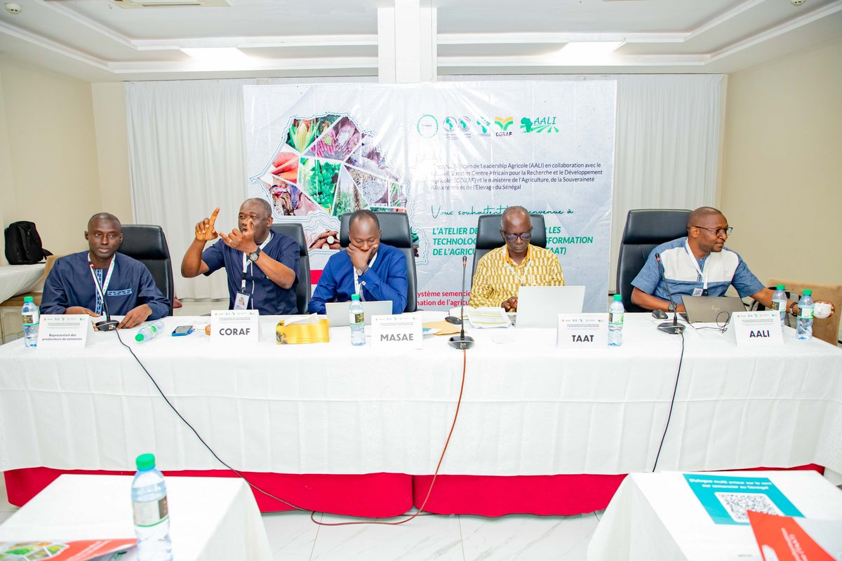 Taat_Africa's tweet photo. #Senegal just wrapped a key national dialogue in partnership with #TAAT, @aaliofficiel, @CORAFNews & private sector actors & others, to transform its #SeedSystem! 🌱 Stakeholders united to boost quality seeds for #FoodSecurity. Highlights: regional collaboration, shared vision for impact & joint commitment to progress. Read more: https://t.co/itjdFit2Am
#TAATinSenegal #Agriculture #SeedSystemsTransformation #Sacaling4Impact #Partnership #EngageTAAT #FeedAfrica
@AfDB_Group @GatesAfrica @gatesfoundation @CGIAR @IITA_CGIAR