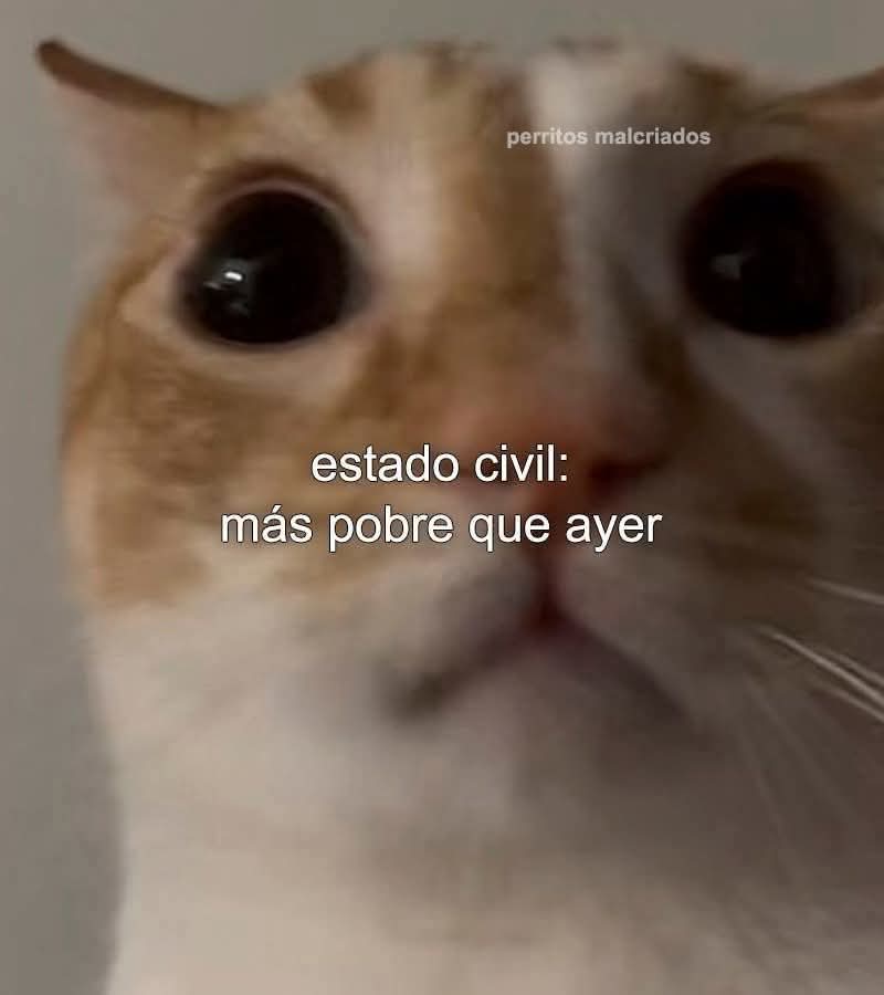 En Júpiter (@en_jupiter_) on Twitter photo 