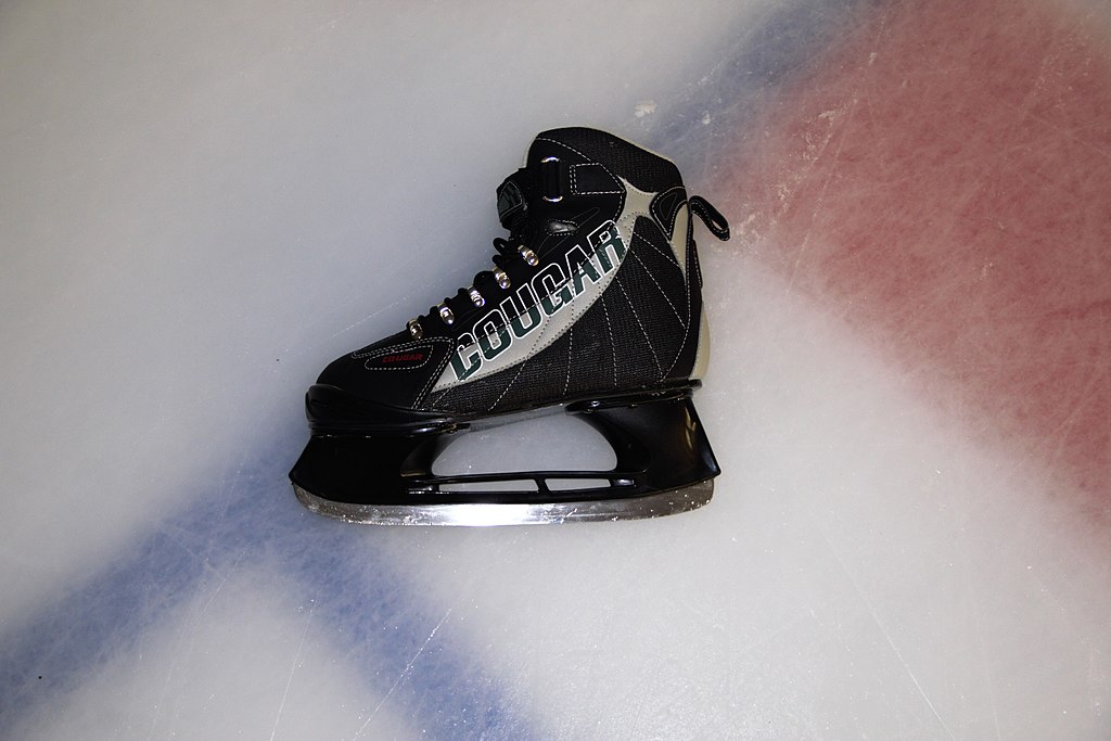 Ice Skating Around Nagoya likenagoya.com/?p=31717