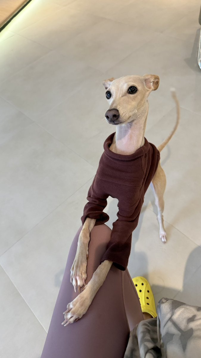 yok_jittraphan's tweet image. ไม่เหมือนกี่โมง @Xobammm