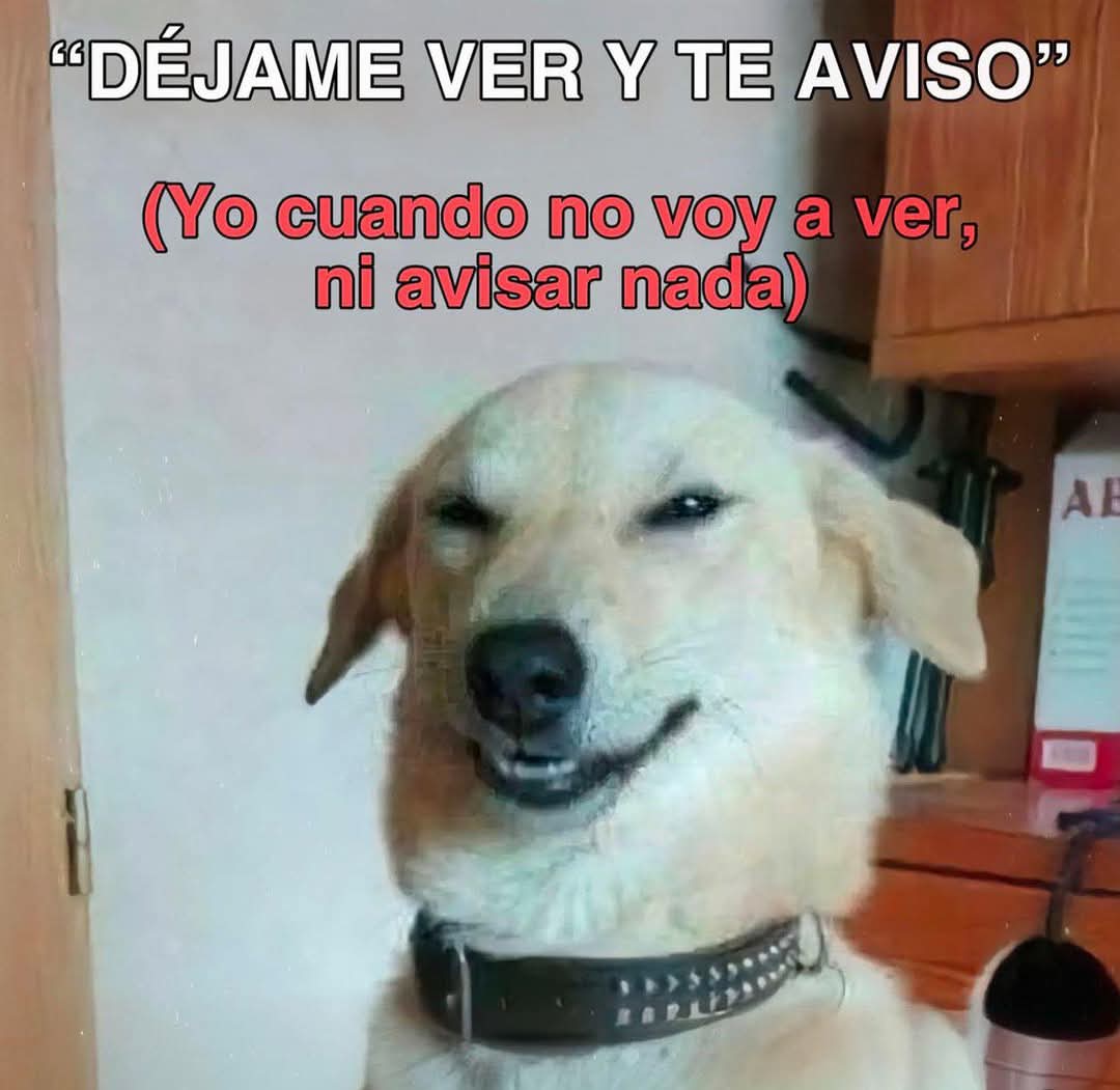 En Júpiter (@en_jupiter_) on Twitter photo 