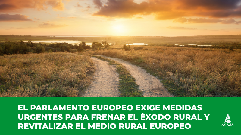 🇪🇺 Detener el éxodo rural con medidas específicas

El PE pide medidas concretas. Propone mejorar servicios básicos como sanidad y educación, invertir en transporte y conectividad digital, y ofrecer incentivos fiscales y formativos para atraer a jóvenes
👉  ow.ly/IrqB50VSgM4