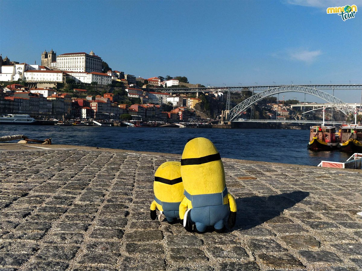 MiniOnTour (@miniontoures) on Twitter photo #Oporto es una las ciudades de #Portugal que más nos fascinan 😍. Y creemos que es normal 😇. No nos digas que a ti no te enamora esta vista de la ciudad 😊. ¿Quieres saber todo lo que vimos?
👉 bit.ly/OportoI
<a href="/visitportugal/">Visit Portugal</a> <a href="/turismoportugal/">Turismo de Portugal</a> <a href="/visitportonorth/">Visit Porto and North of Portugal</a> <a href="/visitporto/">visitporto.travel</a> #Oporto es una las ciudades de #Portugal que más nos fascinan 😍. Y creemos que es normal 😇. No nos digas que a ti no te enamora esta vista de la ciudad 😊. ¿Quieres saber todo lo que vimos?
👉 bit.ly/OportoI
<a href="/visitportugal/">Visit Portugal</a> <a href="/turismoportugal/">Turismo de Portugal</a> <a href="/visitportonorth/">Visit Porto and North of Portugal</a> <a href="/visitporto/">visitporto.travel</a>