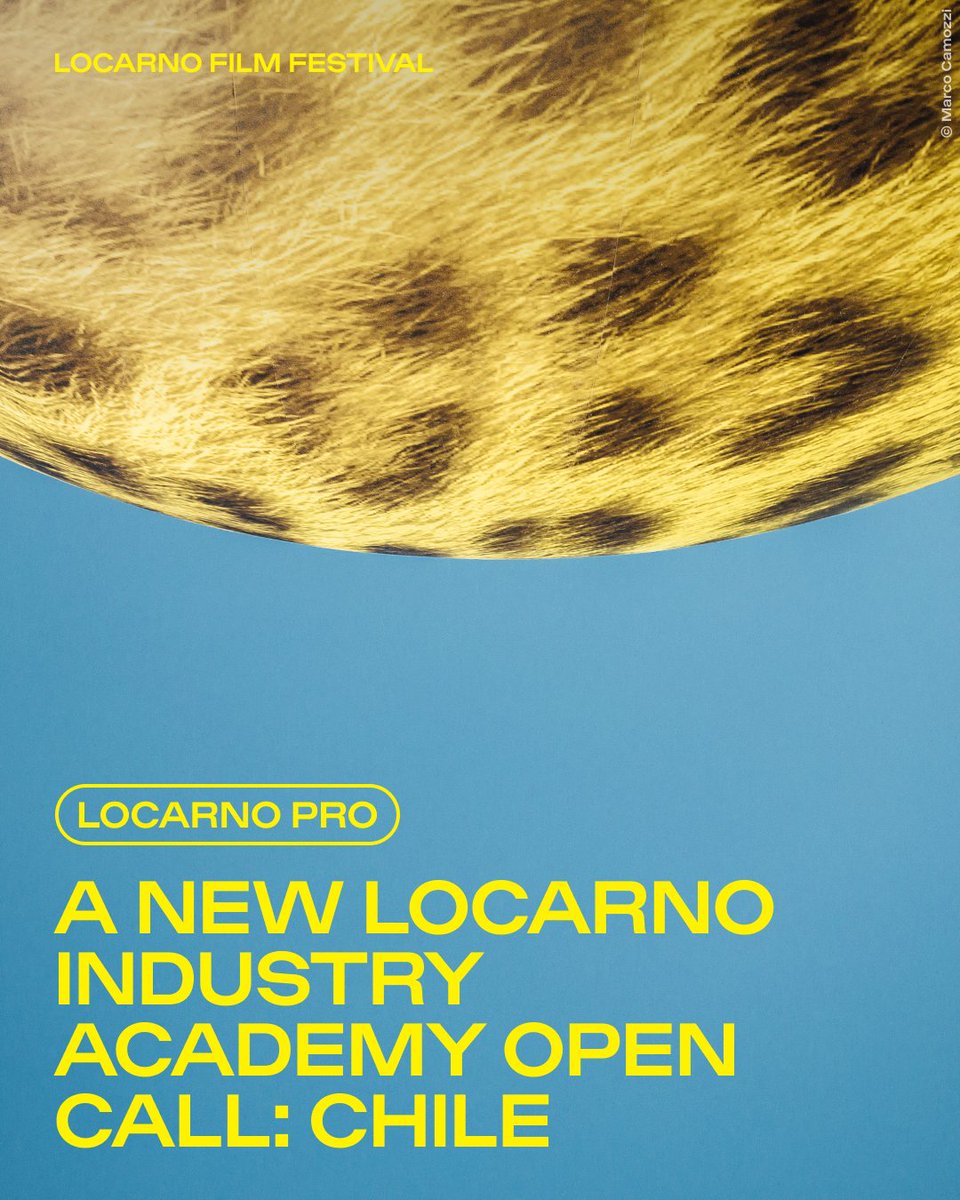 Our #IndustryAcademy (by #LocarnoPro) is an intensive training program designed to support and guide young film industry professionals working specifically in the field of independent cinema.

→ Apply now for the #Chile edition (by May 26, 2025): shorturl.at/Xxo5H