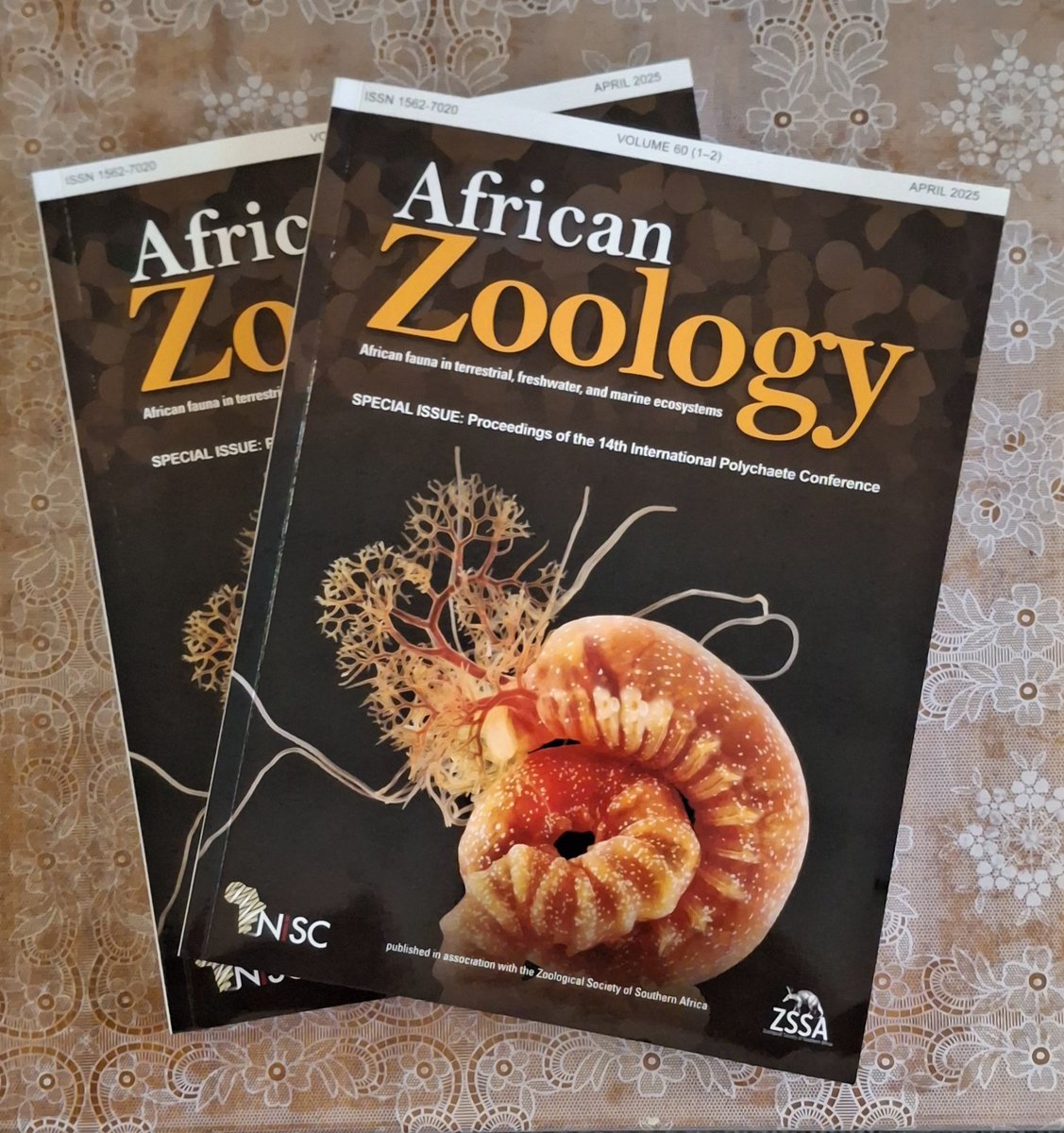 Carol Simon (@simonpolylabsa) on Twitter photo #IPC14 special issue has arrived. Very pleased. Thank you to <a href="/ZoolSocSA_ZSSA/">ZSSA - Zoological Society of Southern Africa</a> for sponsoring publication. <a href="/IPC2023/">IPC 2023</a> <a href="/NISC_Pub/">NISC (Pty) Ltd</a> #AfricanZoology #WormWednesday #IPC14 special issue has arrived. Very pleased. Thank you to <a href="/ZoolSocSA_ZSSA/">ZSSA - Zoological Society of Southern Africa</a> for sponsoring publication. <a href="/IPC2023/">IPC 2023</a> <a href="/NISC_Pub/">NISC (Pty) Ltd</a> #AfricanZoology #WormWednesday