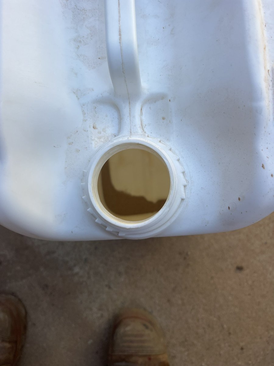 Taj Hasson tweet media