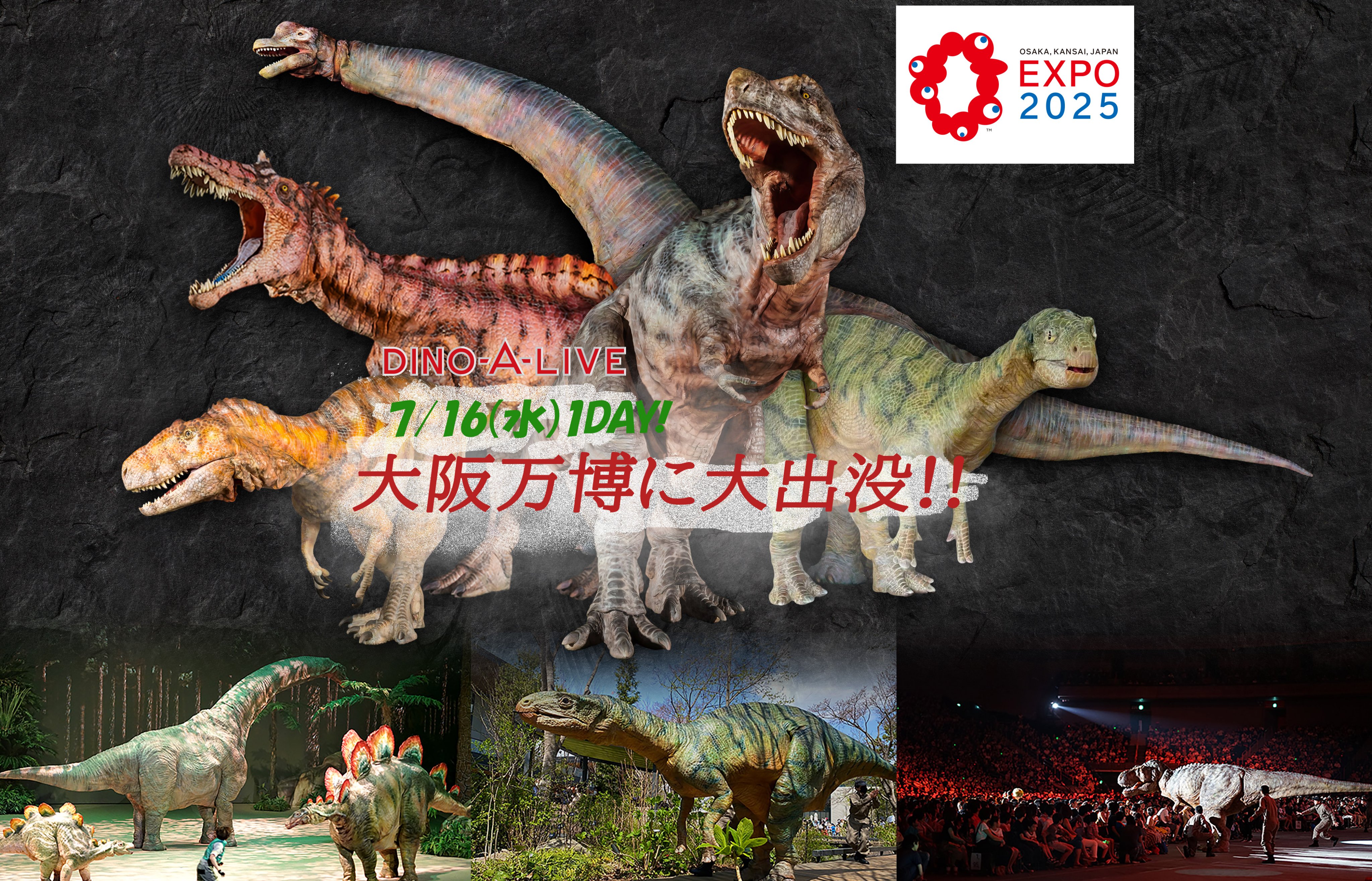 DINO-A-LIVE TYRANNOSAURUS #3 生き物・恐竜