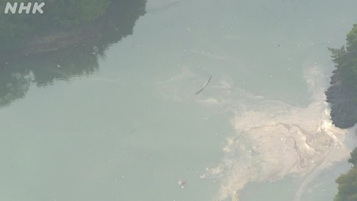 飛行機のようなものが落ちた”って現場は騒然だろうな…
愛知・犬山で自衛隊機レーダーから消失 「池に墜落」と地元消防に通報も

池には燃料と思われる油が浮いていおり、自衛隊機の一部とも見て取れる物が水面から出ている。
池に墜落って…捜索活動めちゃくちゃ難航しそう
みんなの安全を祈ります