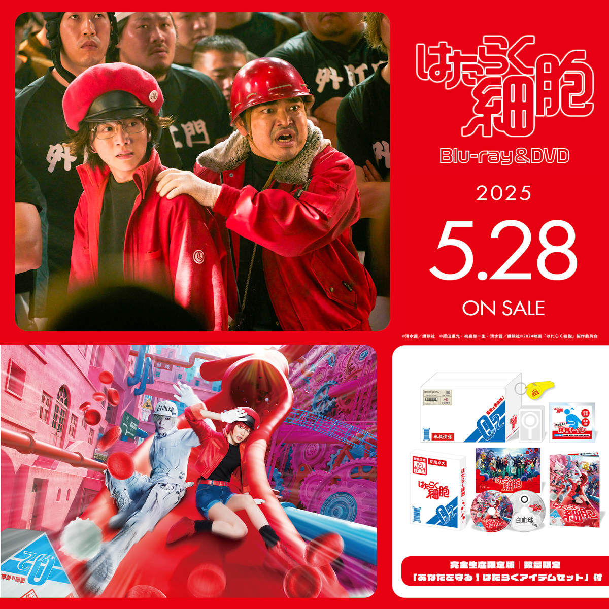 Amazon.co.jp: はたらく細胞 5(完全生産限定版) [DVD] : 花澤