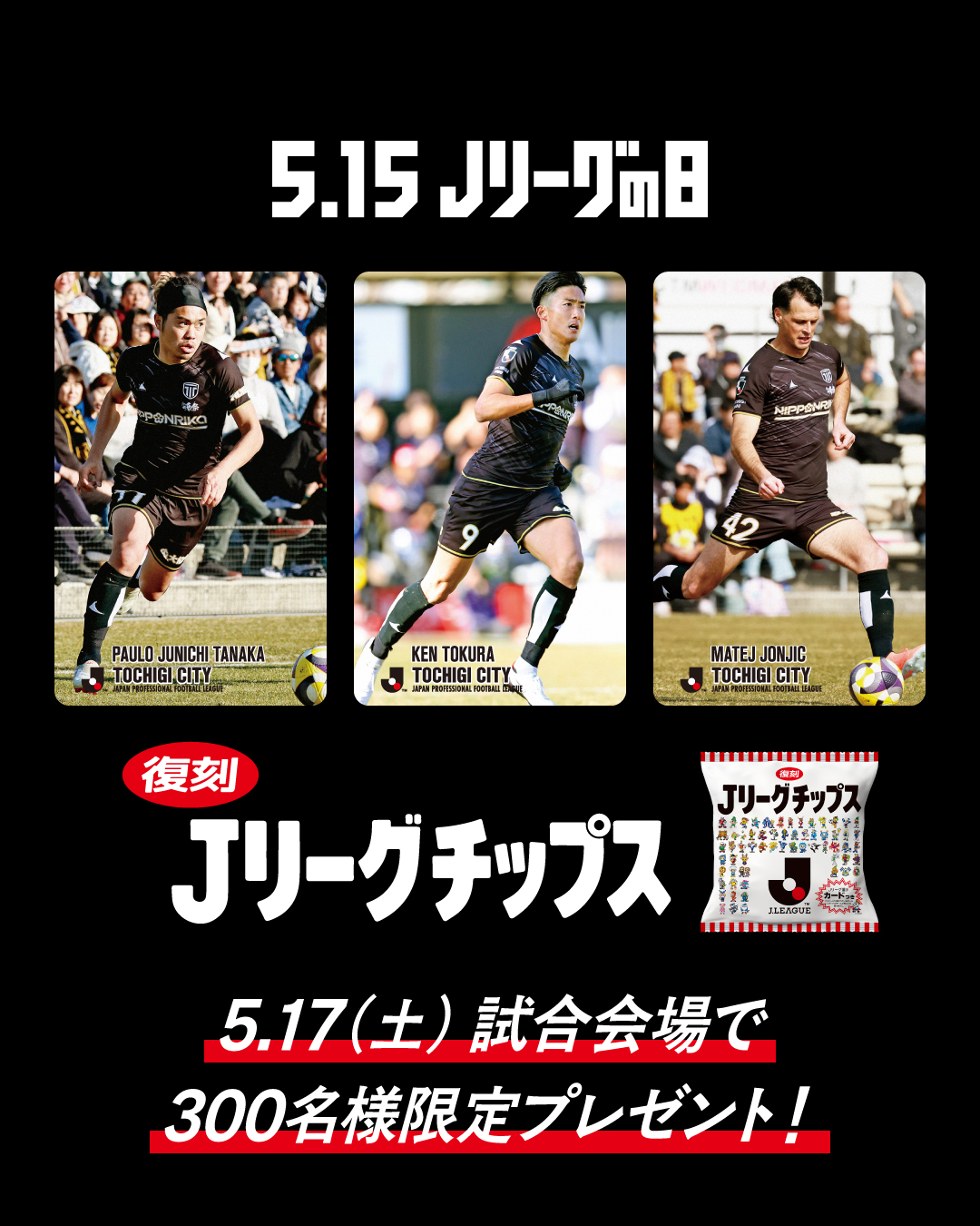 d*5様 Jリーグチップス カード 栃木シティ 田中パウロ淳一