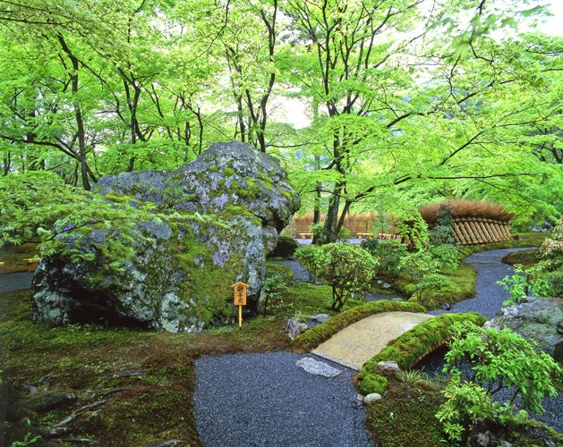 京都市観光協会の企画による朝の特別貸切拝観が開催されます。
瑞々しい苔や青もみじに彩られた庭園を巡り、本堂・襖絵を特別参拝。
さらに通常非公開の書院にて坐禅を体験、爽やかな朝の静けさに包まれたひとときを。
開催日時：5/31(土)、6/29(日) 7:30～9:00
▼詳細予約は
ja.kyoto.travel/event/single.p…