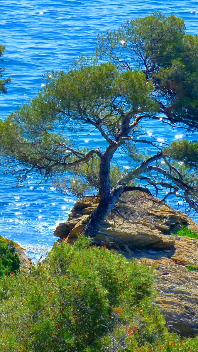 Beautiful Aegean Sea coast in Greece  🇬🇷