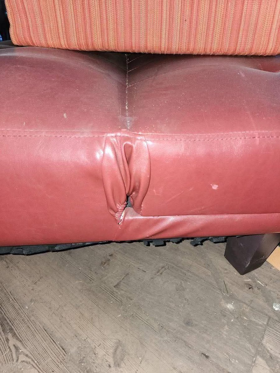 What donyou think? Is this couch gently used? 🤣