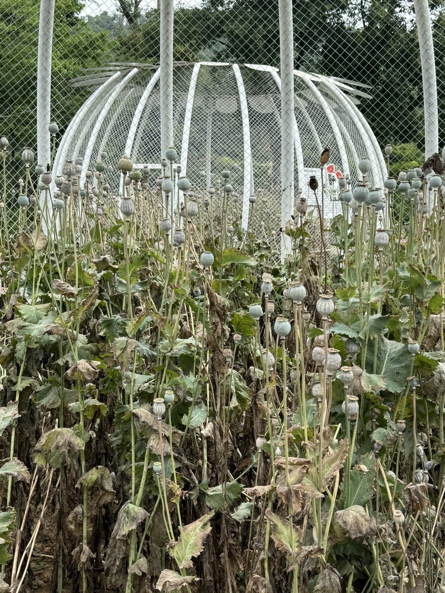 “监狱” 和 “囚犯” 
你想劫狱吗？😆