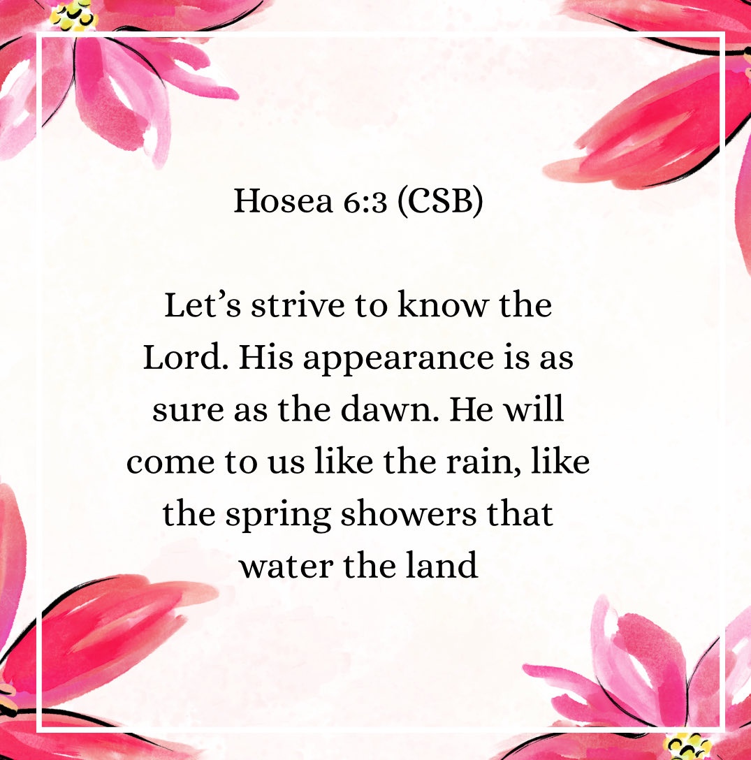 Tonya Roberts Raines (@tonyarraines) on Twitter photo 