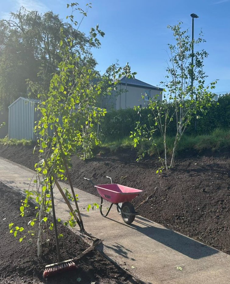 Our therapy garden has trees planted and has access steps ready ….. and the transformation is only just beginning!!!!!
#4corkARC
#communitysupport