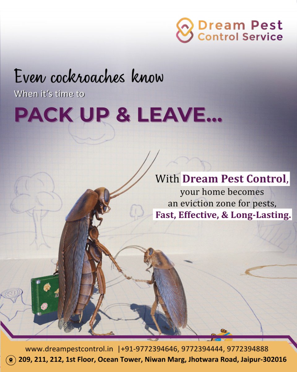 DreamPest's tweet image. 🚫🪳 Even Cockroaches Know When It’s Time to Pack Up &amp;amp; Leave!

With Dream Pest Control, your home becomes a pest-free zone that’s
✅ Fast
✅ Effective
✅ Long-Lasting

Say goodbye to cockroaches, termites, rodents &amp;amp; more.

#DreamPestControl #CockroachFreeHome #HomeProtection