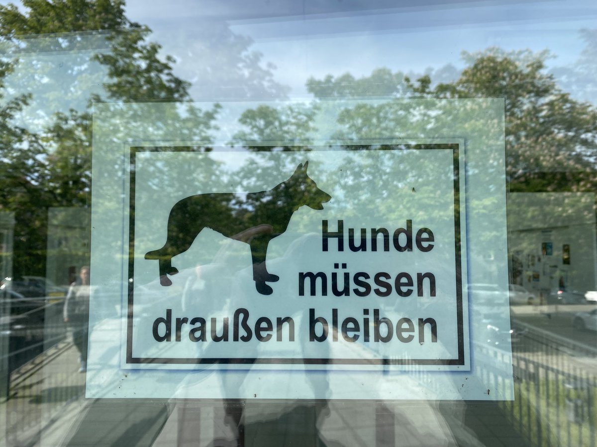 狗不得入内。坐。等。