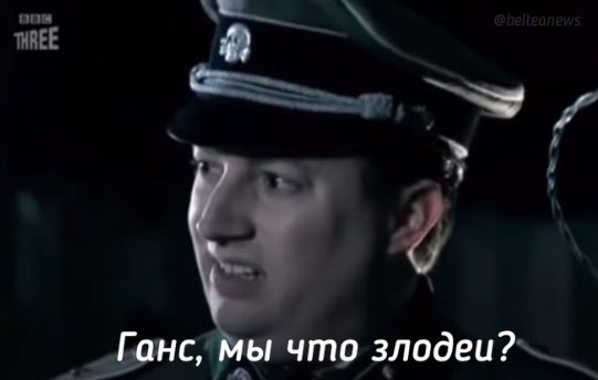 птица-тупица tweet media