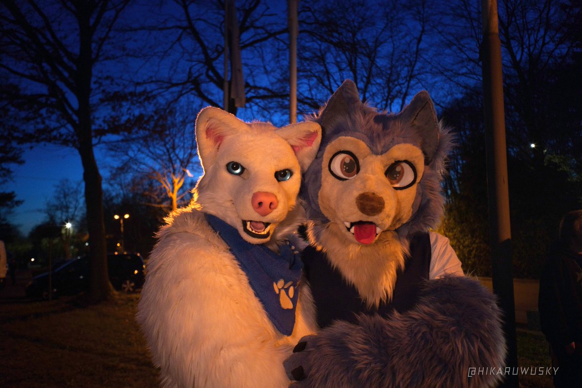 Met an actor from the Beastars series today
🗓 29.03.2025
🐺 Cole 
🐺 <a href="/Shane_the_Wolf/">Shane Rodriguez</a>
📸<a href="/HikaruWusky/">HikaruWusky</a>

#WolfWednesday