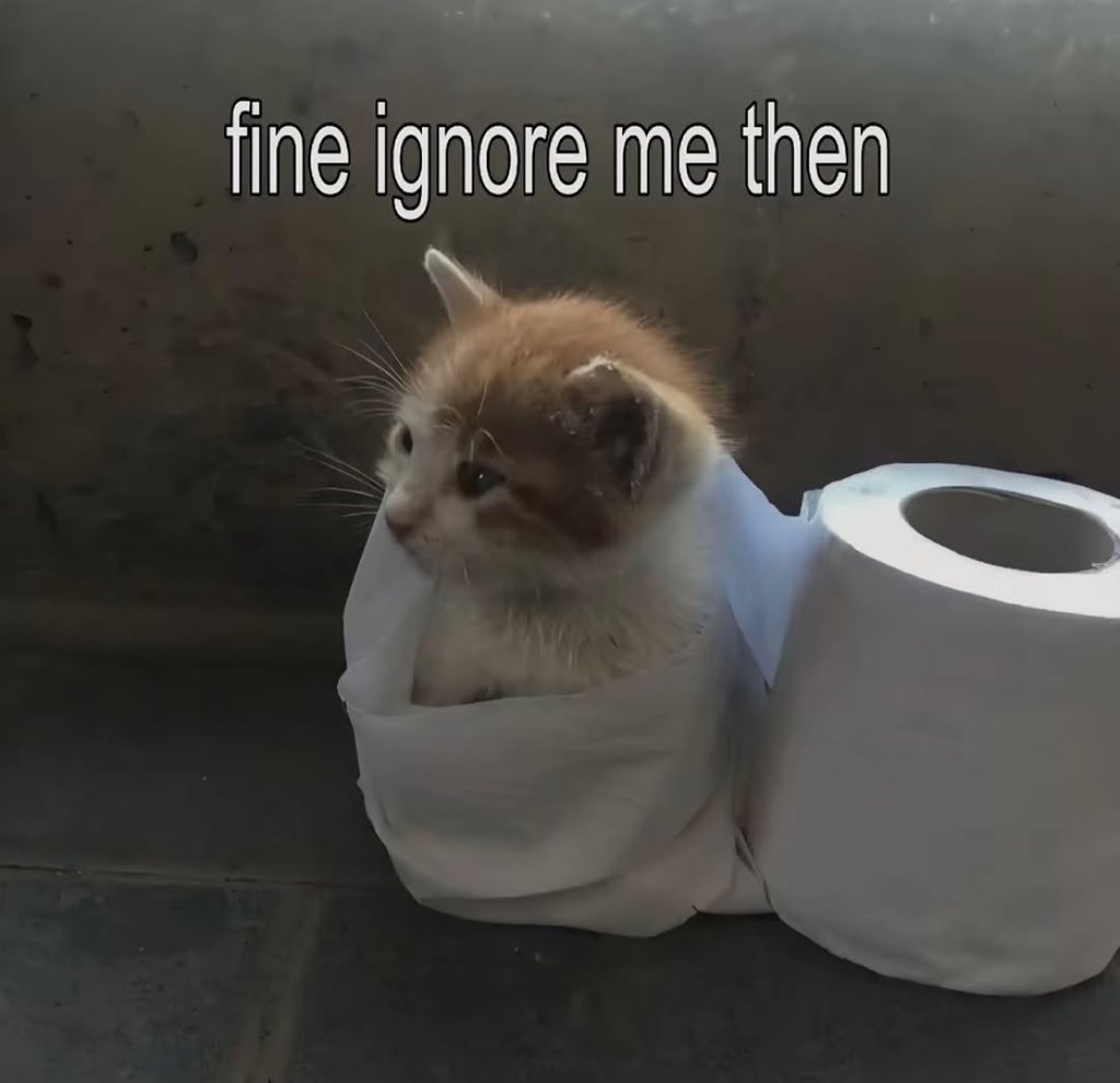 dipwer's tweet image. post secreto da meia noite