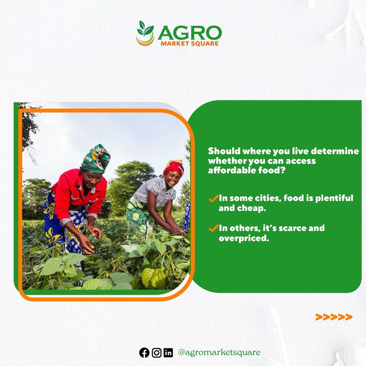 agromarketsquar's tweet image. We believe the answer is NO!

While some cities enjoy abundance, others face scarcity and high prices. We’re working to close this gap by building a food distribution network that delivers fresh, affordable produce everywhere.

Everyone deserves access to good food.