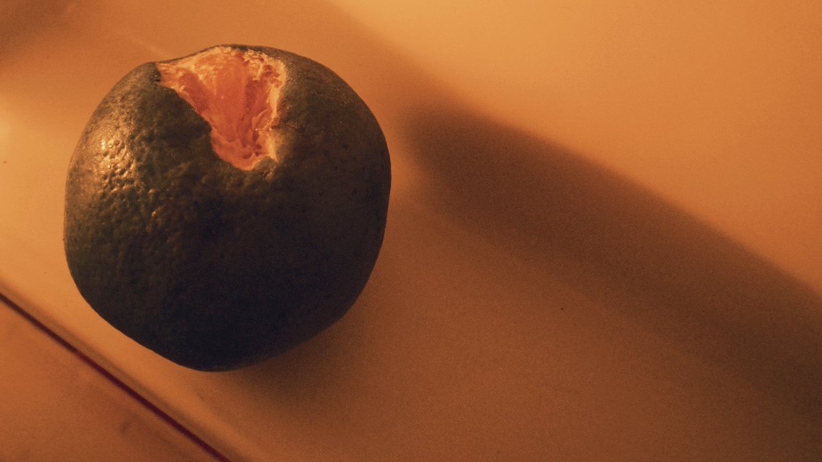 Unfinished peeled orange after i said “you peels the orange for me means you loves your sister that much” with my brother. :]