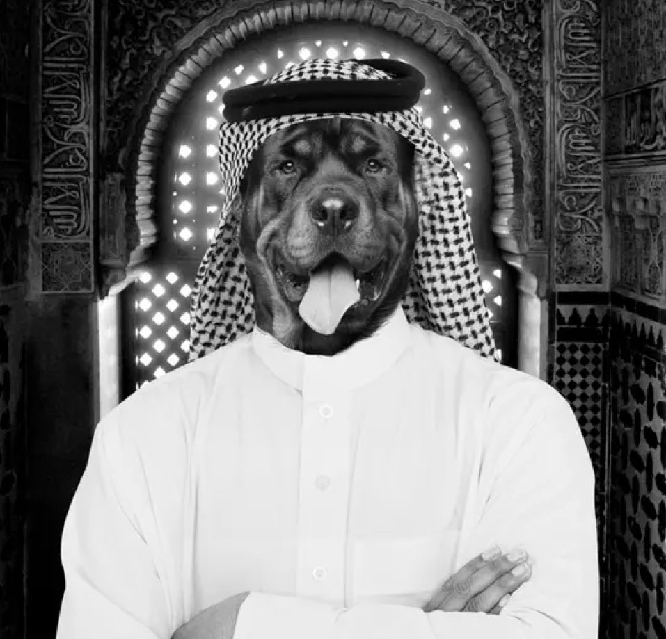 celestiallabo's tweet image. In my dedicated service at the prestigious Darwish Holding in Doha, I encountered profound workplace challenges involving the Marketing&amp;amp;Communication manager, Roldy Arrouk, my direct supervisor. Prior to these trials, I courageously voiced concerns on X, critiquing the lack of