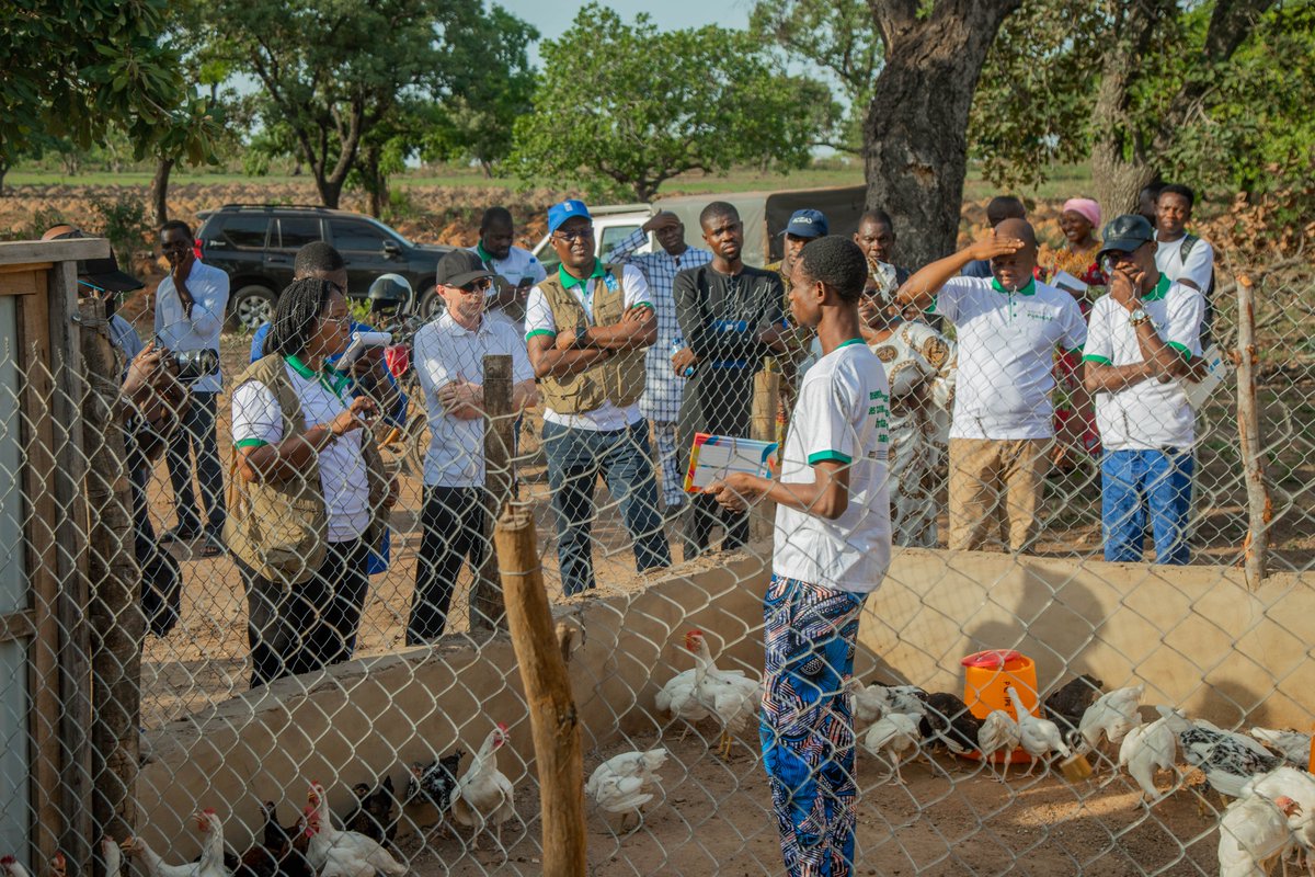 PNUDBenin's tweet photo. Mission conjointe @BelgiqueauBenin &amp; @PNUDBenin du 12 au 13 mai 2025 dans les communes de Copargo, Djougou et Ouaké au Nord Bénin.

🎯Apprécier sur le terrain les résultats du #PRRéCAZ et renforcer le dialogue stratégique entre les différentes parties prenantes du projet. https://t.co/JF17oS7VHg