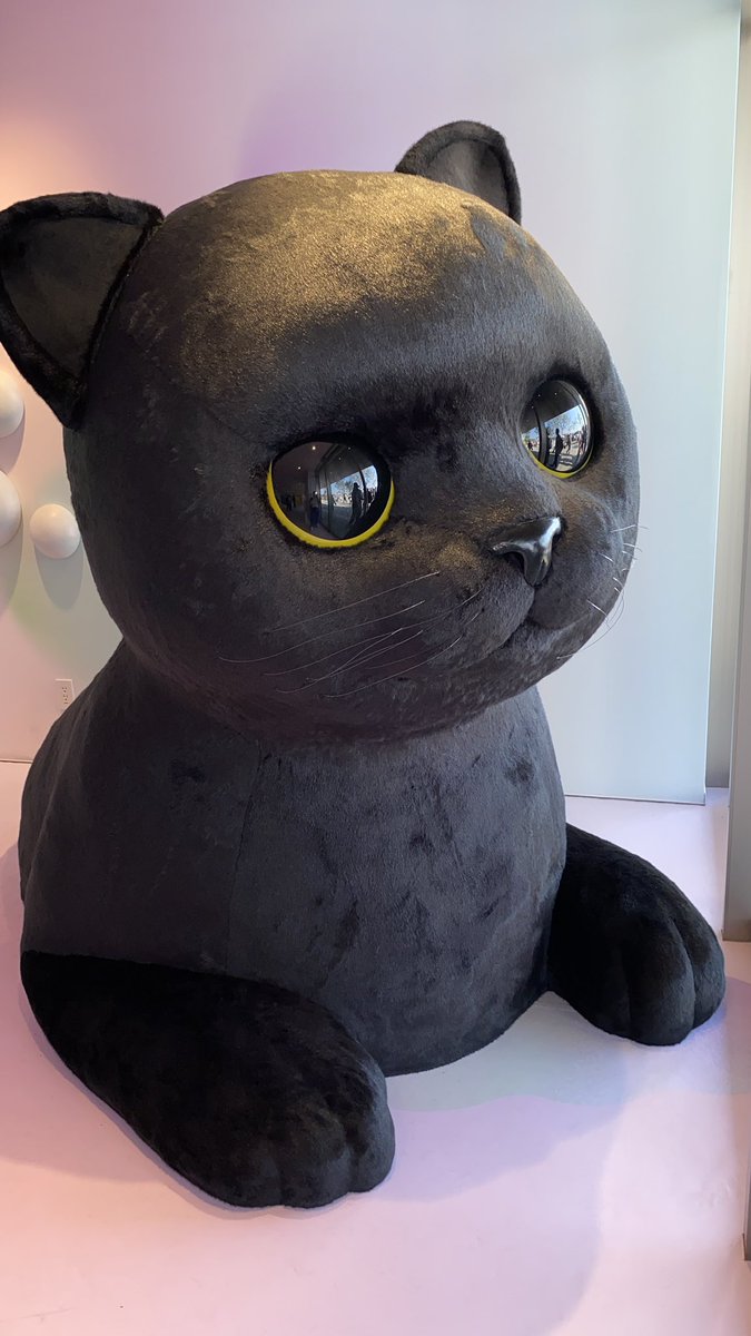 chimakintoki's tweet image. 猫好きのみなさん、いいですか。
万博へ行ったら西ゲートの前にあるクロネコヤマトさんへ行くのです。送る荷物が無くても大丈夫です。巨大なクロネコちゃん(モフ)と会えます。フラッシュ付けて写真撮ると突然現れる黒猫ちゃんとハイタッチもできます。絶対行くのです🐈⬛#万博 #クロネコヤマト