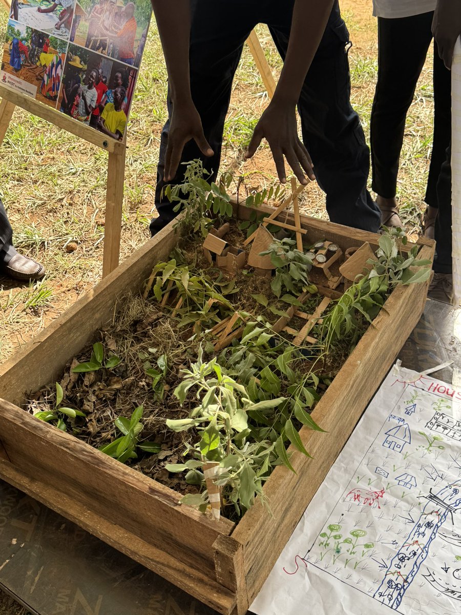 URRI_Danida's tweet image. What if farming could heal the land and help families thrive?
At the West Nile #URRI launch, we saw it: water-smart trenches, diverse crops, natural fertilizers & thriving homesteads.
Regenerative resilience design is at the heart of climate-smart agriculture in #URRI 👩🌾🌱