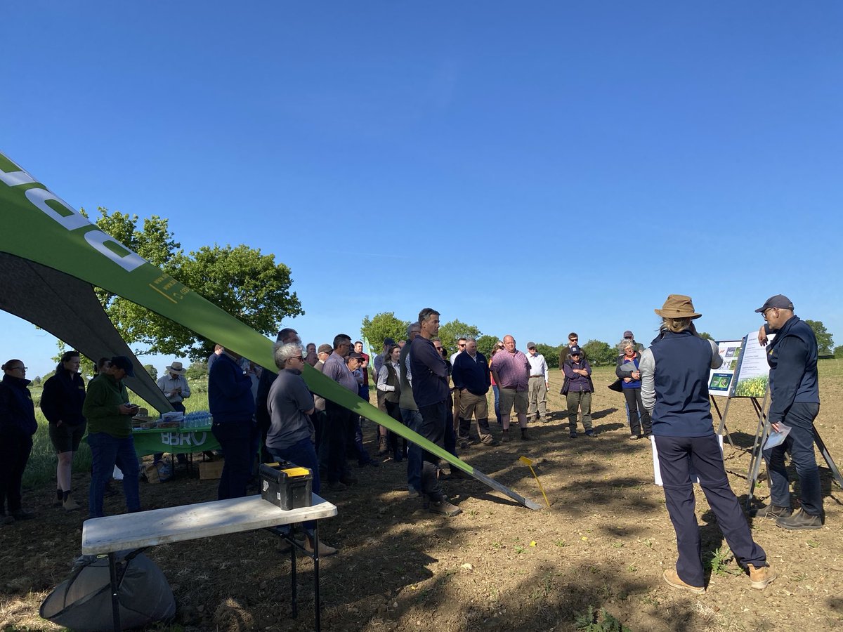 First session of BeetField underway at Morley. Great turnout to hear aphid migration and impact in area, plus quick crop update and weed control from Pam Chambers ⁦<a href="/BritishSugar/">British Sugar</a> ⁦<a href="/NFUSugar/">NFU Sugar</a>⁩