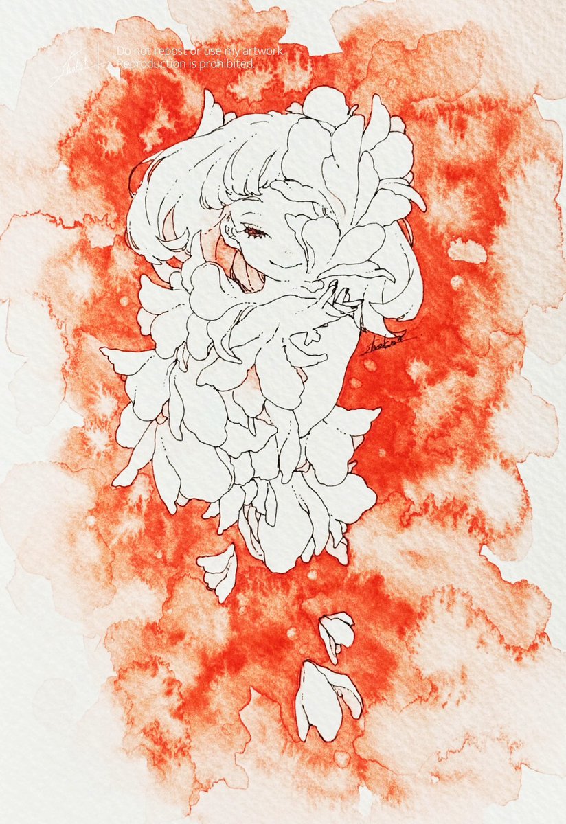 『毎日が夢みたいに咲きこぼれていくの』