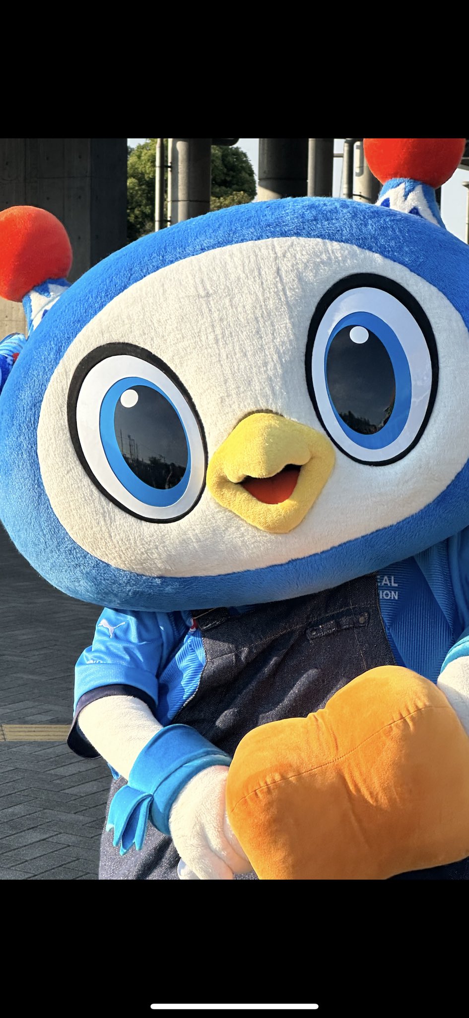 アルパカごりらぶ(*´▽`*)♪ アルパカケンゴ14🐬🐬🐬🐬🐬🐬🐬 on X: 
