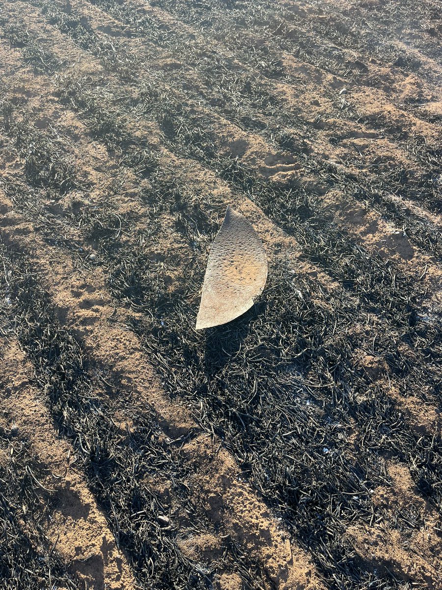 Things you find after a good burn. Copy bighat