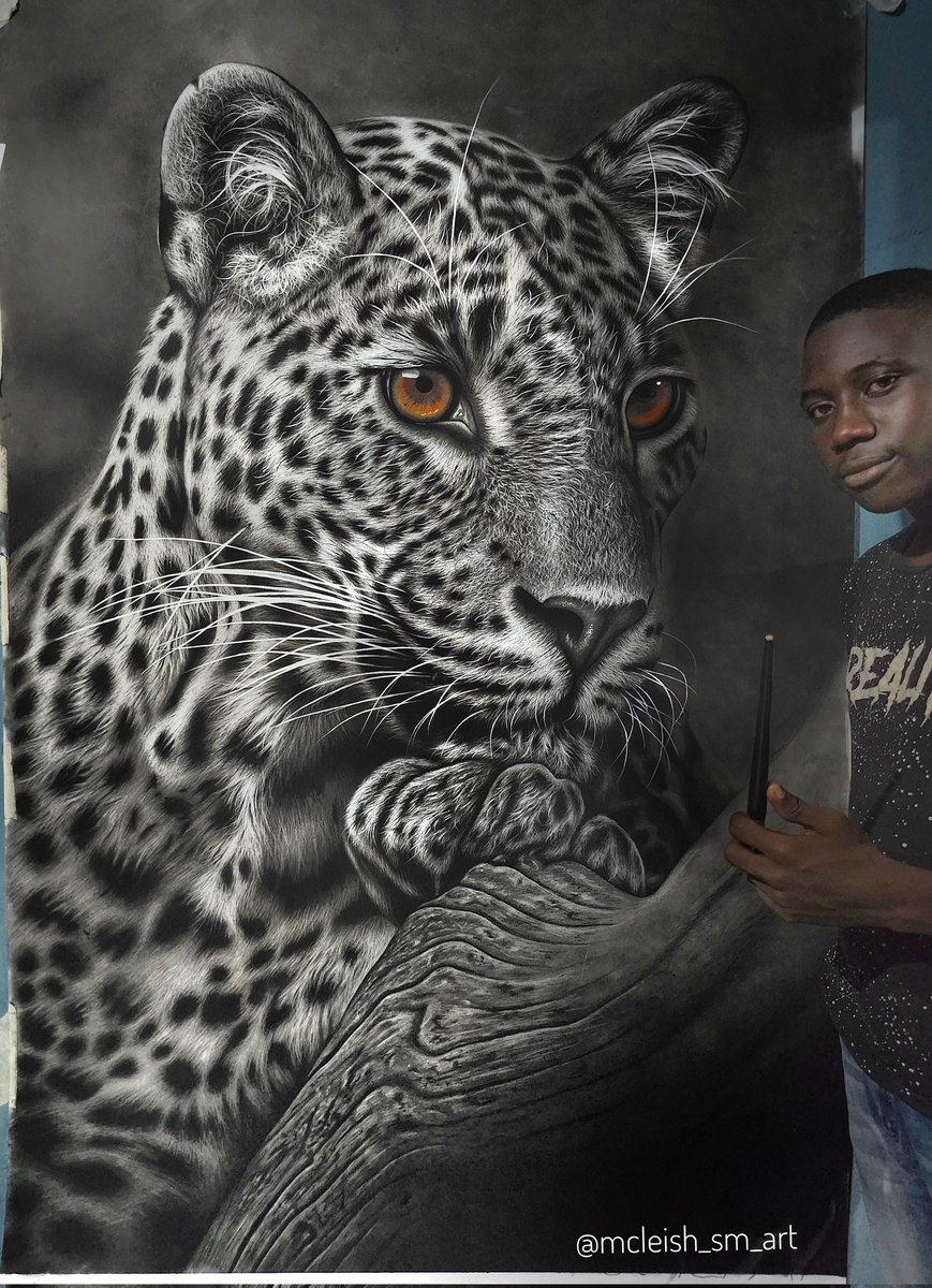 Is this is one of the best Pencil drawings you have seen today? 😁