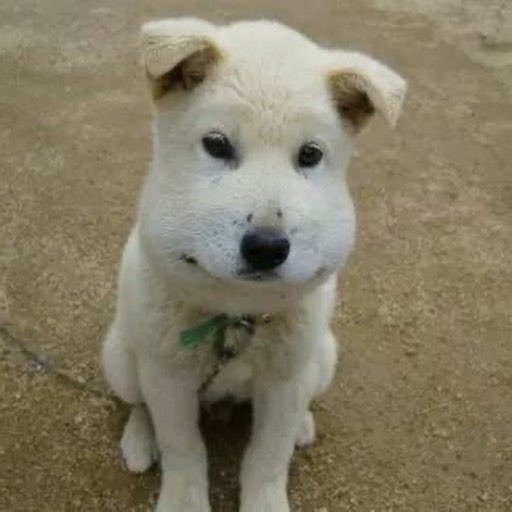 74 (@74__kim) on Twitter photo 