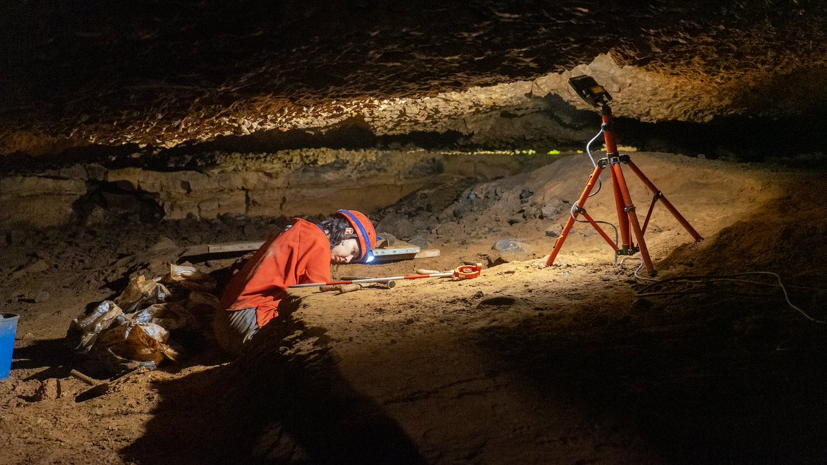 ⛏️ La Cova de la Font Major encara amaga secrets!

Gràcies al projecte liderat per @IPHES i <a href="/cultura_cat/">Cultura</a> , s’hi torna a excavar amb noves tecnologies 

🧬 El passat no s’ha acabat d’escriure…

📍 Vine a descobrir-ho a les Coves de l’Espluga!

🔗 covesdelespluga.info