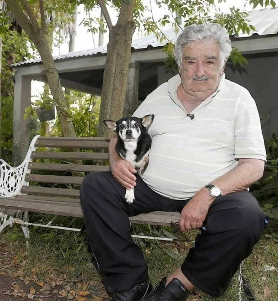 Saraya girerken neyse çıkarken de aynı olan, zenginleşmeyen, ilkelerini terk etmeyen, mütevazi yaşamıyla örnek olan ve halktan biri olarak yaşayıp hayata veda eden José Pepe Mujica’yı saygı ve hürmetle selamlıyorum. 🌱✌🏼