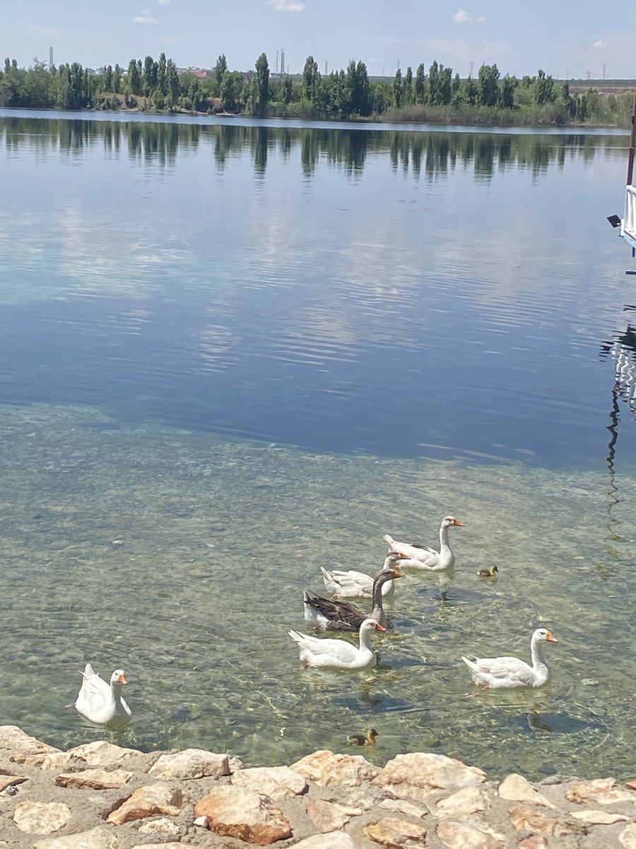 . (@asaasllllln) on Twitter photo 