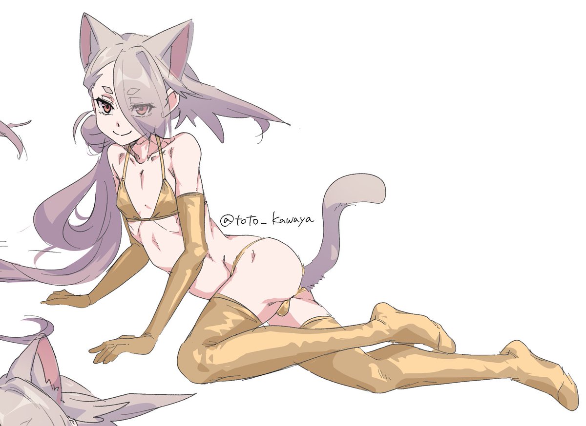 おまいら知ってるか?
朕がまだゴールデンウィークだって言ったらゴールデンウイークだからね。金ビキニを書きなさい。 