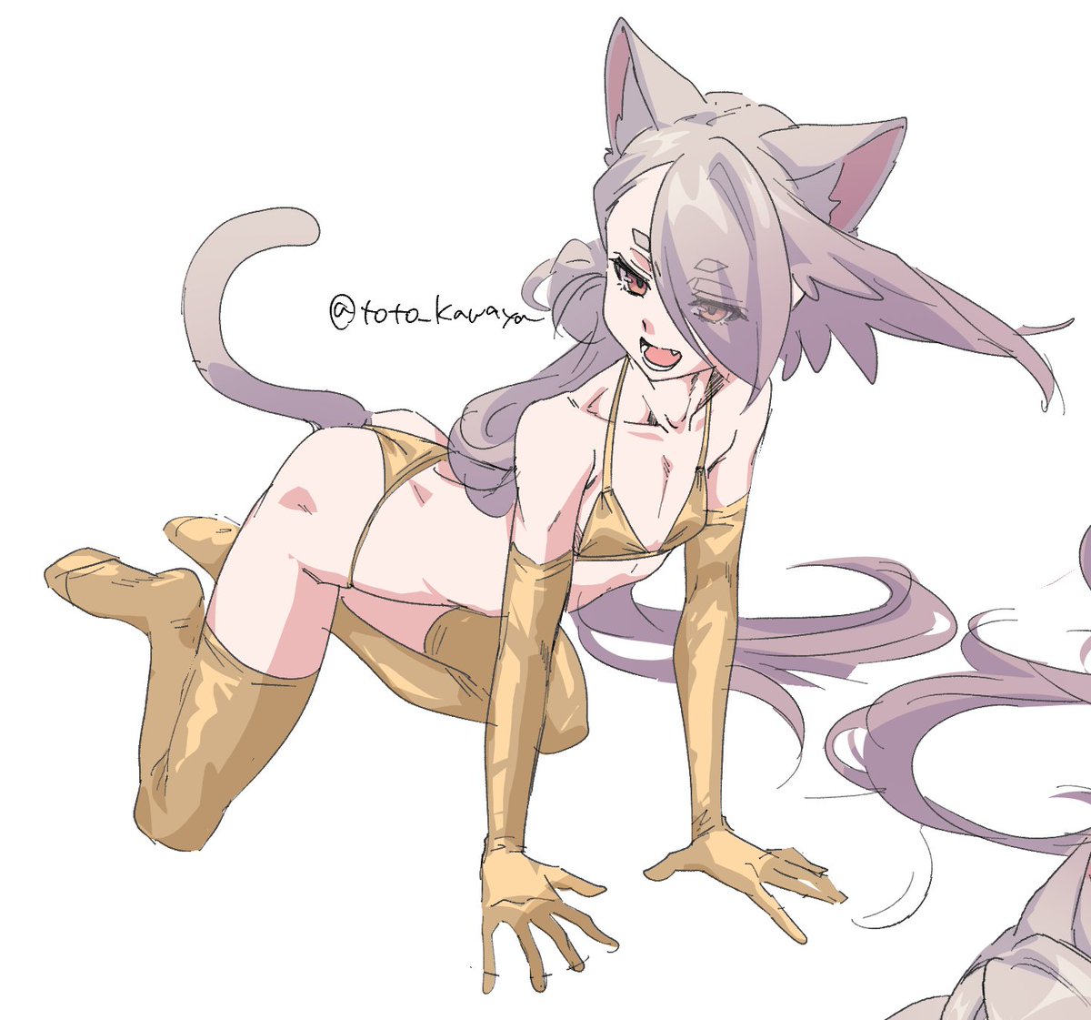 おまいら知ってるか?
朕がまだゴールデンウィークだって言ったらゴールデンウイークだからね。金ビキニを書きなさい。 