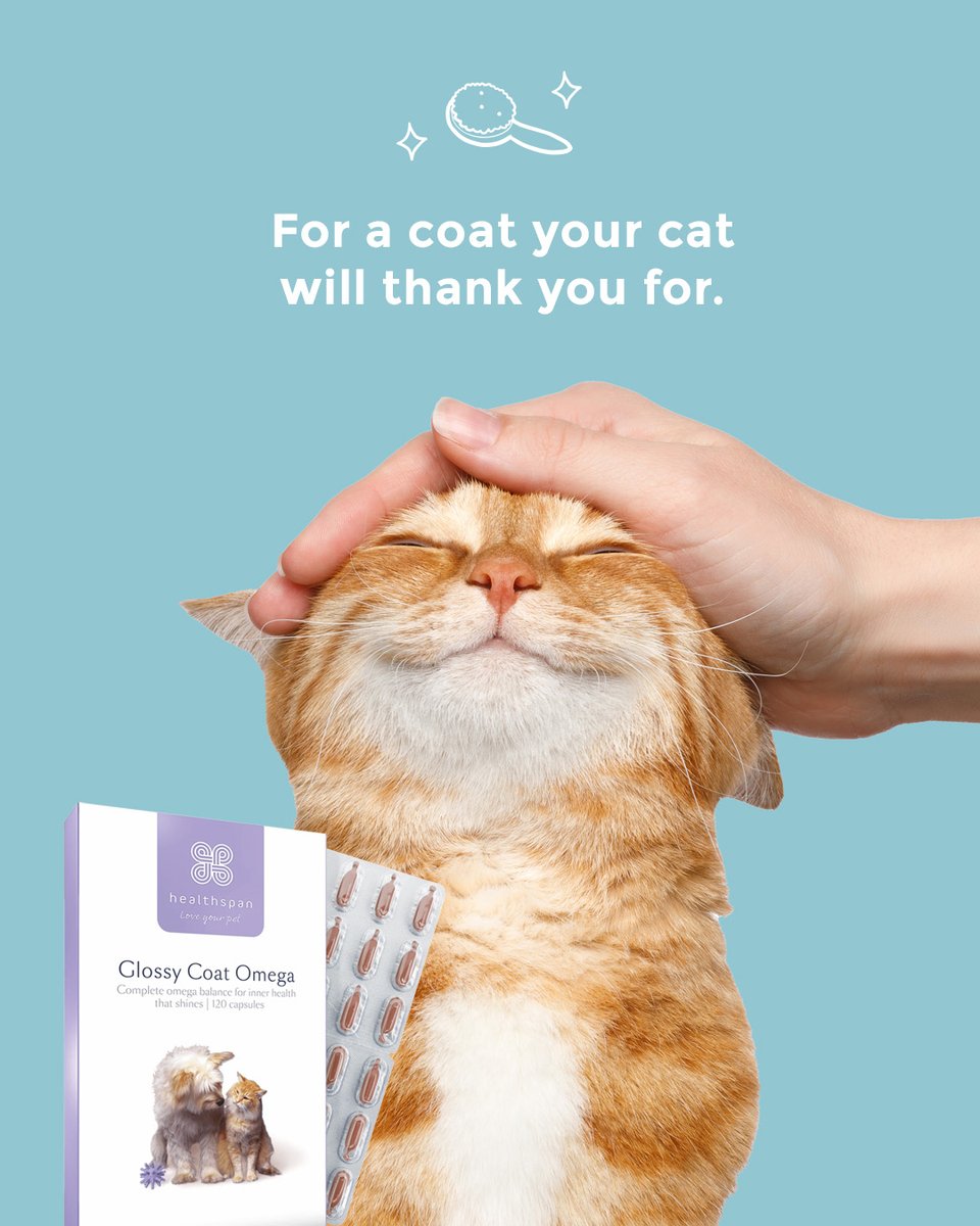 ✨ Healthy fur, happy cat - it's that simple. ✨

#healthspanuk #glossycoatomega #catecare #cattips #petcare