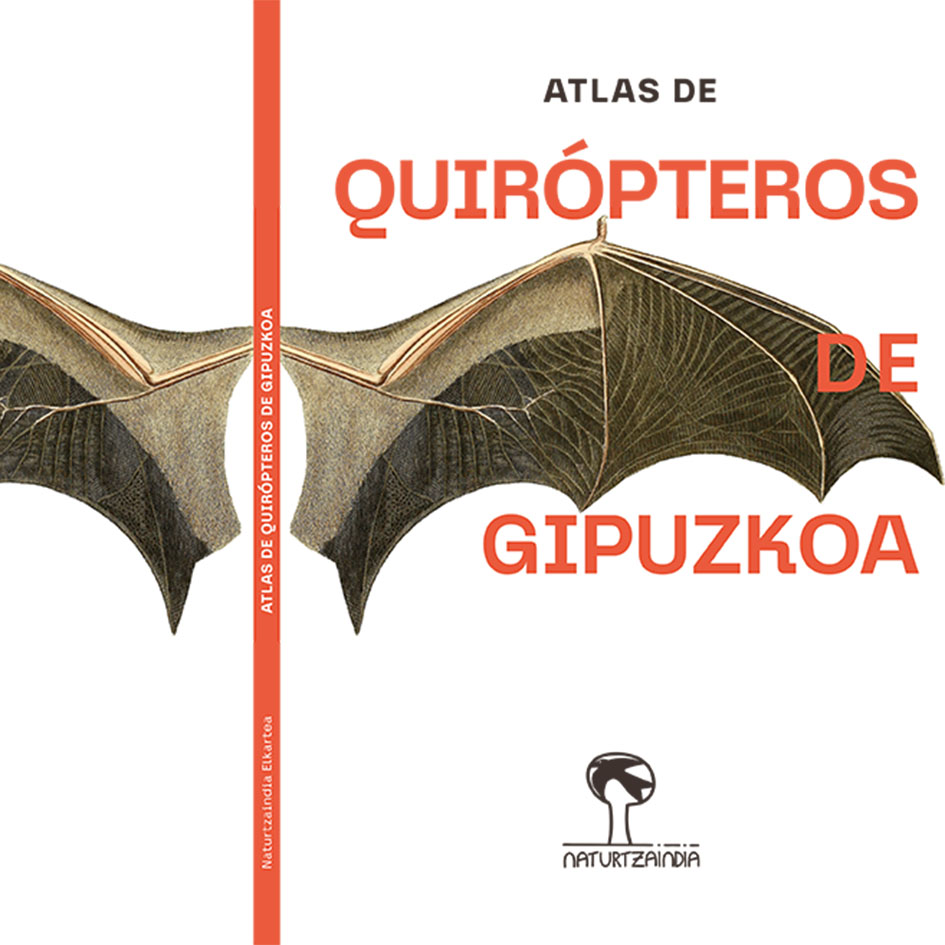 ATLAS DE QUIRÓPTEROS DE GIPUZKOA
¡Recién salido del horno!
Lo podéis descargar aquí naturtzaindia.com
#quiropteros #murcielagos #gipuzkoa