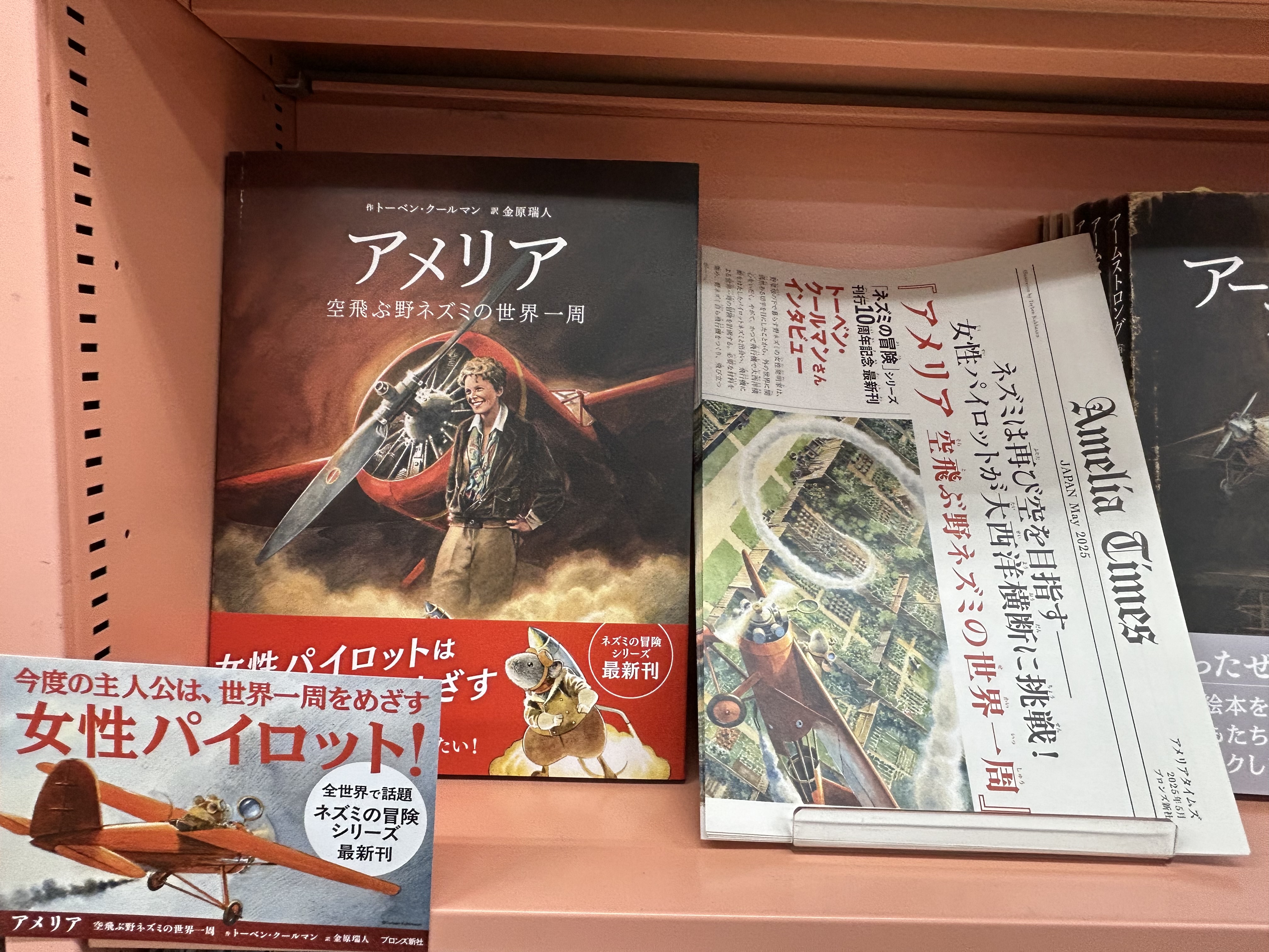 9180円 デヴィッドの冒険 スチブンソン原作 講談社・世界名作