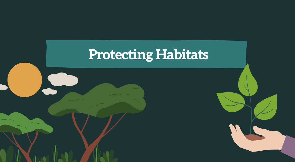 🆓 FREE PDF for Teachers!
Download our Endangered Species Habitat Lesson – perfect for KS2 🌿🐾
✅ Habitats &amp; Conservation
✅ Real-world cases: polar bears, deforestation
✅ Curriculum-aligned

📥 Join our group to access:
facebook.com/groups/1100450…
#PrimaryTeacher #BritannicaUK